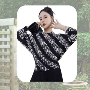 🏷️🎉🆕 nwt! • black & white zebra striped dolman batwing crinkle top